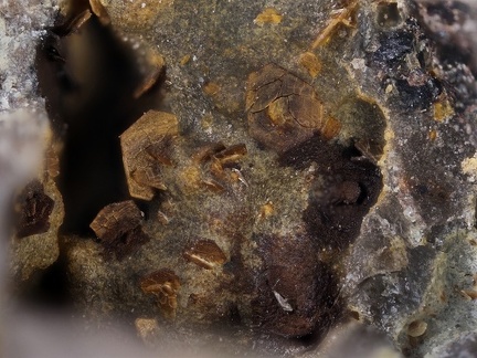 Fluorophlogopite - Grange de Ganilh - Laveissière - Cantal