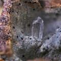 Phillipsite-Ca  - Grange de Ganilh - Laveissière - Cantal