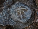 Analcime - Chambeuil - Laveissière - Cantal 