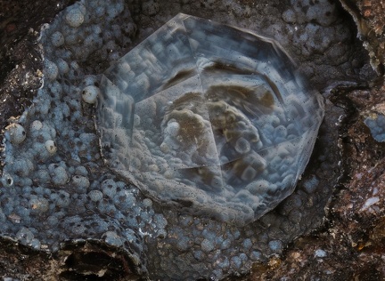 Analcime - Chambeuil - Laveissière - Cantal 