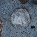 Analcime - Chambeuil - Laveissière - Cantal 