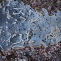 Montmorillonite  - Chambeuil - Laveissière - Cantal 