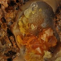 Chabazite-Ca - Le Martinet - Murat - Cantal