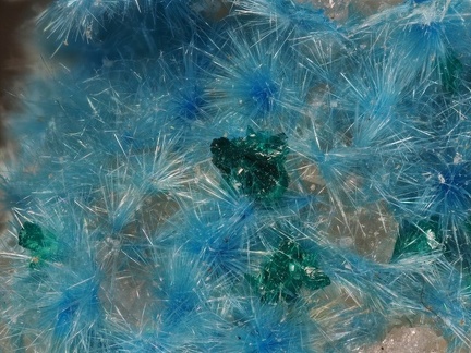 Cyanotrichite Brochantite - Le Tistoulet - Padern - Aude