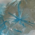 Cyanotrichite - Le Tistoulet - Padern - Aude