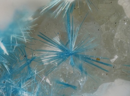 Cyanotrichite - Le Tistoulet - Padern - Aude