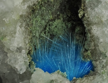 Cyanotrichite - Le Tistoulet - Padern - Aude