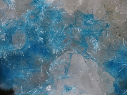 Cyanotrichite - Le Tistoulet - Padern - Aude
