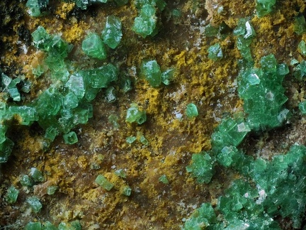  Autunite - Mas d'Alary - Lodève - Hérault