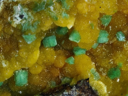 Uranophane Autunite - Mas d'Alary - Lodève - Hérault