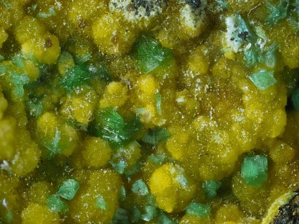 Uranophane Autunite - Mas d'Alary - Lodève - Hérault