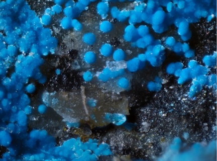 Cyanotrichite - Canaveilles - Pyrénées-Orientales