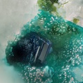 Clinoclase Pseudomalachite - Villecun - Olmet et Villecun - Hérault