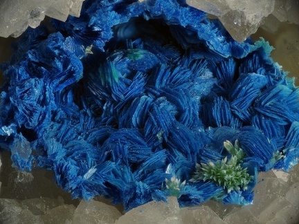 Olivenite Azurite - Villecun - Olmet et Villecun - Hérault
