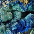 Olivenite Azurite - Villecun - Olmet et Villecun - Hérault