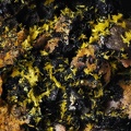 Dewindite Fluorite - Le Charbonnier - Frejus - Var 