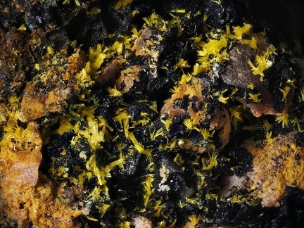 Dewindite Fluorite - Le Charbonnier - Frejus - Var 
