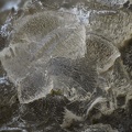 Prehnite  - Aragnouet -  Hautes-Pyrénées