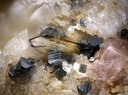 Brookite Monazite Anatase - Madone de Fenestre - St-Martin-Vesubie - Alpes Maritimes champ 1,4