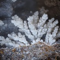 Montmorillonite - Grange de Ganilh - Laveissière - Cantal 