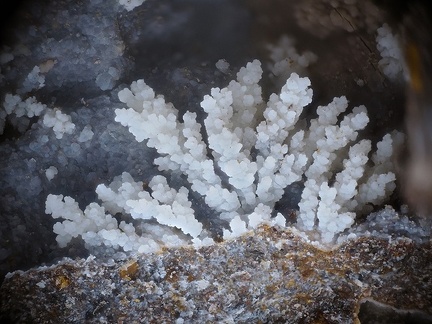 Montmorillonite - Grange de Ganilh - Laveissière - Cantal 