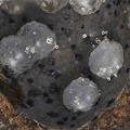 Thomsonite - Analcime - Chambeuil - Laveissière - Cantal 