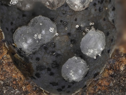 Thomsonite - Analcime - Chambeuil - Laveissière - Cantal 