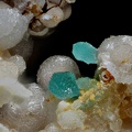 Chalcosiderite Strengite - Mine de l'Eperon - Beauvoir - Echassières - Allier -champ 0,8