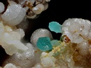 Chalcosiderite Strengite - Mine de l'Eperon - Beauvoir - Echassières - Allier -champ 0,8