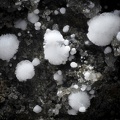 Picropharmacolite - Lucéram - Alpes-Maritimes 