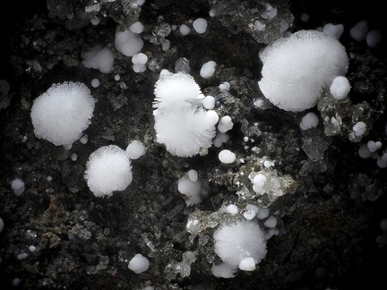 Picropharmacolite - Lucéram - Alpes-Maritimes 