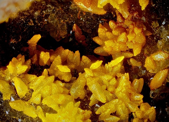 Greenockite sur Smithsonite - Pech Migé - Terroles - Aude
