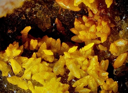 Greenockite sur Smithsonite - Pech Migé - Terroles - Aude
