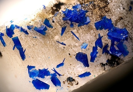 Azurite - Les Vignes - Montgaillard - Aude