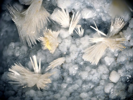 Natrolite - Puech de Vermus - Espalion - Aveyron