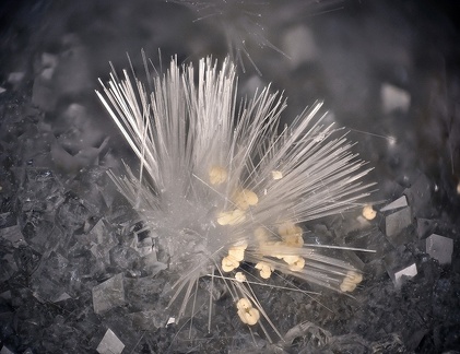 Natrolite - Puech de Vermus - Espalion - Aveyron