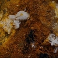 Baryte - Le Cantonnier - Nontron - Dordogne