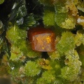 Crocoite Pyromorphite - Le Cantonnier - Nontron - Dordogne