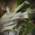 Prixite Pyromorphite - Le Cantonnier - Nontron - Dordogne