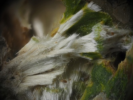 Prixite Pyromorphite - Le Cantonnier - Nontron - Dordogne