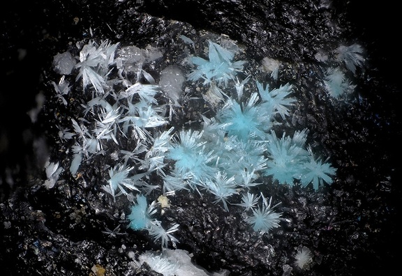 Calédonite - Ménez-Plom - Carnoët - Côtes-d'Armor 