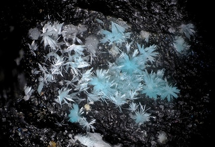 Calédonite - Ménez-Plom - Carnoët - Côtes-d'Armor 