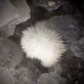 Strontianite - Beauvoisin  - Drôme 
