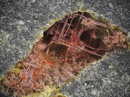 Chalcotrichite (cuprite) - Olmet et Villecun - Hérault 