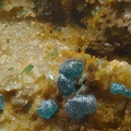 Pseudomalachite Libethenite- Le Pin - Vieussan - Hérault 