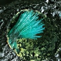 Brochantite - Les Rats - Le Crozet - Loire 