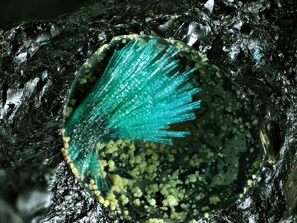 Brochantite - Les Rats - Le Crozet - Loire 