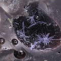 Elyite - Les Rats - Le Crozet - Loire