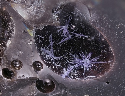 Elyite - Les Rats - Le Crozet - Loire
