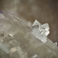Quartz sur Fluorite - Carrière de Côte Rousse - Vensat - Puy de Dôme 